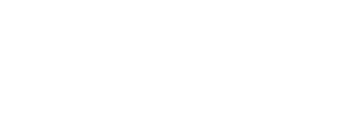 The Public Domain